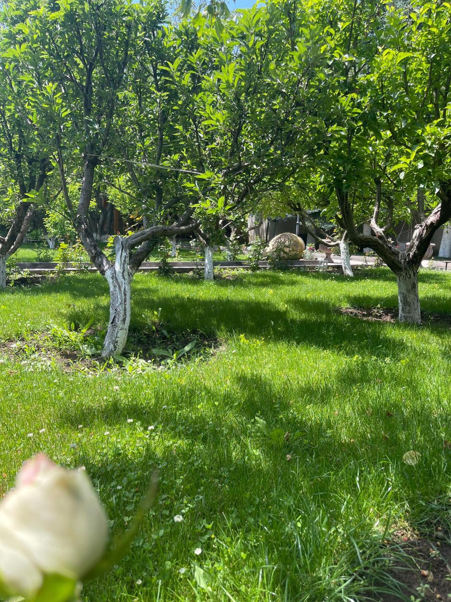 In Gyumri Hotel Luaran gambar